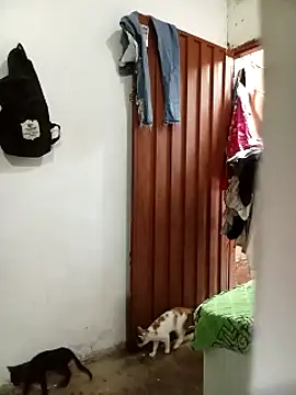 Andreita 95 online show from November 13, 11:31 am