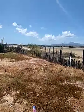 Snapshot of daniel_traviexxxo chatting on October 12, 5:12 pm daniel traviexxxo online show from October 12, 5:12 pm