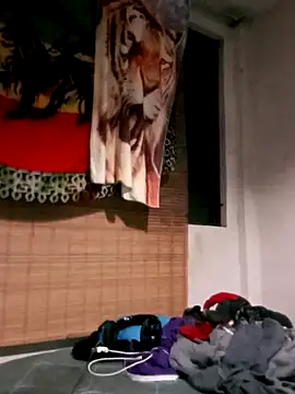 LECHEBALLS online show from January 29, 2:19 am