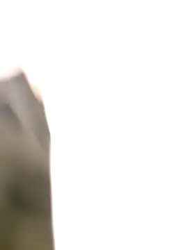 littlehornysons online show from October 6, 2:09 am