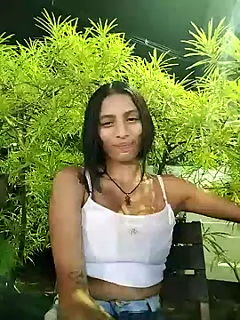 lily sk online show from December 4, 2:20 am