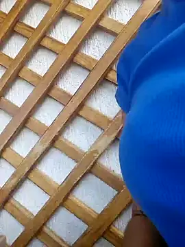 lily sk online show from February 11, 8:31 pm