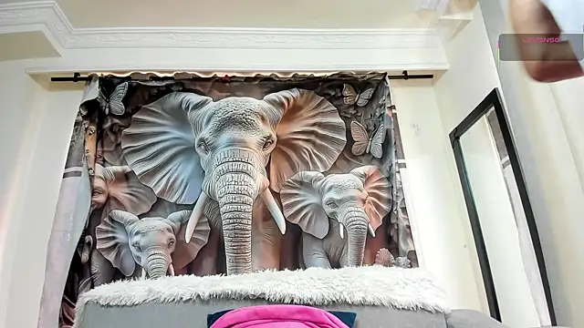 Joao Batista Oficial online show from October 16, 5:03 pm