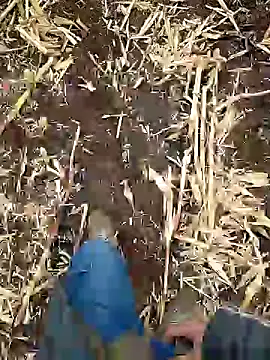 murokkk31 online show from January 5, 6:46 am