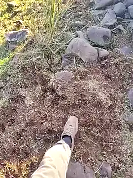 murokkk31 online show from December 16, 12:21 pm