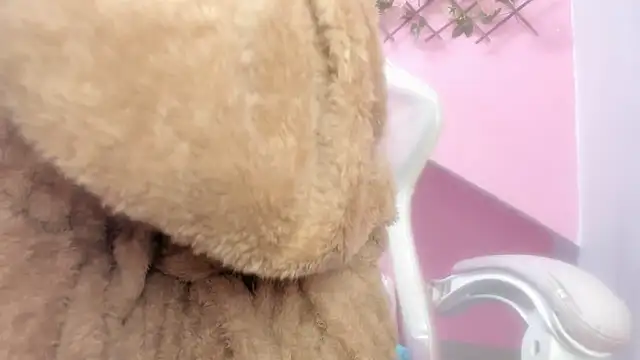 meribeth303av online show from December 22, 2:17 am