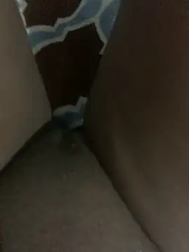 Snapshot of WyvaxxNikkie chatting on January 23, 5:31 pm WyvaxxNikkie online show from January 23, 5:31 pm