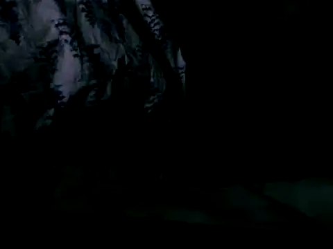 WHITEDAROSE online show from February 19, 10:01 am