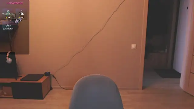 Snapshot of Brience chatting on October 23, 4:45 am Brience online show from October 23, 4:45 am