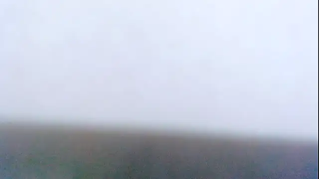 Snapshot of Layla_squirt88 chatting on November 24, 1:44 pm Layla squirt88 online show from November 24, 1:44 pm