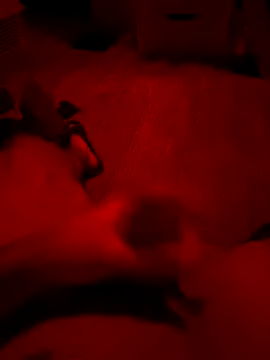 Amo 2121 online show from December 5, 12:08 am