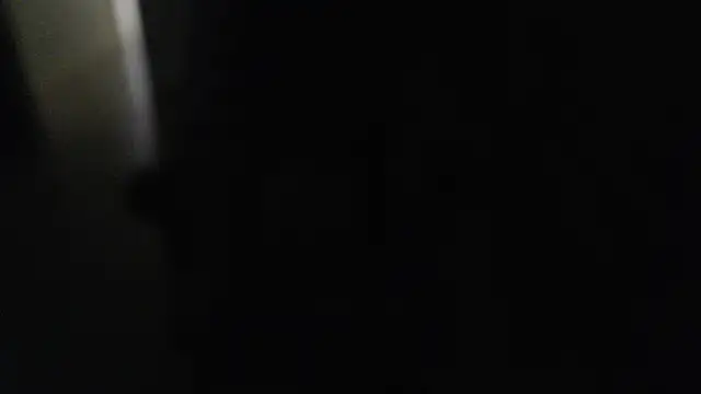 joeydee1 online show from December 7, 7:21 pm