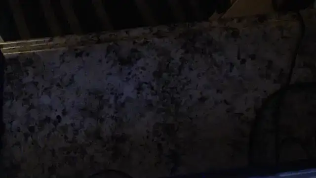 joeydee1 online show from February 19, 3:06 am