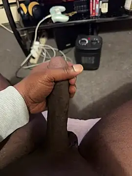 Snapshot of Cameltoekilla chatting on February 12, 12:00 pm Cameltoekilla online show from February 12, 12:00 pm