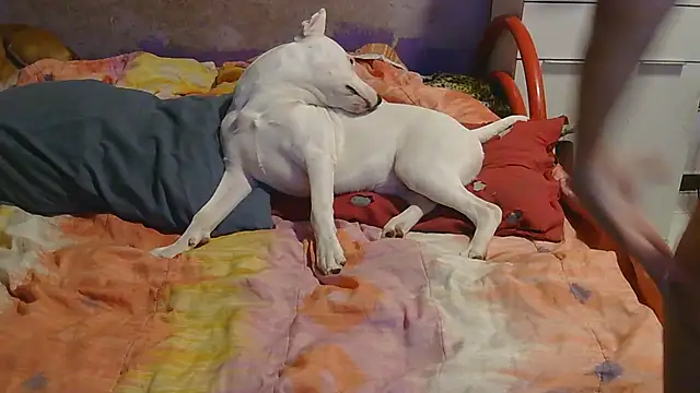 Snapshot of couplemilf2 chatting on December 6, 11:25 pm couplemilf2 online show from December 6, 11:25 pm