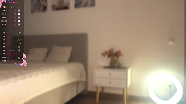 Snapshot of diaanona chatting on February 17, 9:21 pm diaanona online show from February 17, 9:21 pm