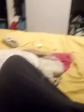 Snapshot of taradobbsafadok chatting on October 25, 11:32 pm taradobbsafadok online show from October 25, 11:32 pm