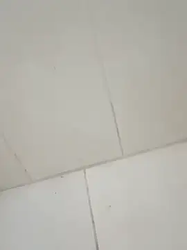 Snapshot of taradobbsafadok chatting on December 1, 11:32 pm taradobbsafadok online show from December 1, 11:32 pm