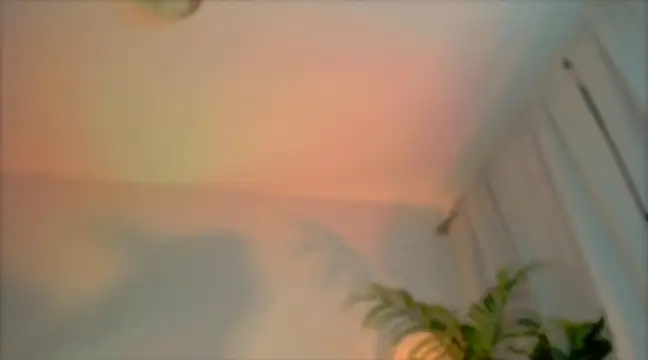 Snapshot of _cherry_bloss_ chatting on March 4, 12:29 am cherry bloss online show from March 4, 12:29 am