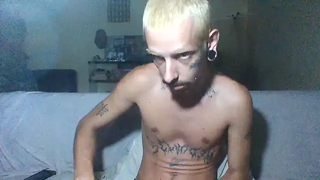 Snapshot of sellvageria chatting on December 20, 9:38 am sellvageria online show from December 20, 9:38 am