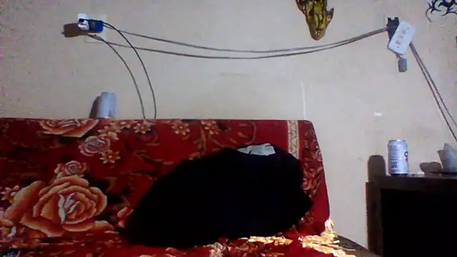 Snapshot of sellvageria chatting on February 26, 3:49 am sellvageria online show from February 26, 3:49 am