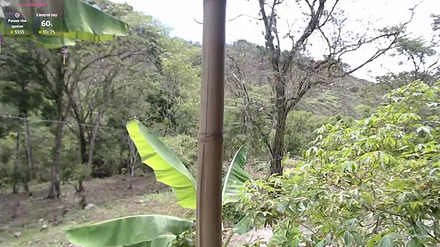 Snapshot of andreu_mature chatting on October 17, 4:09 pm andreu mature online show from October 17, 4:09 pm