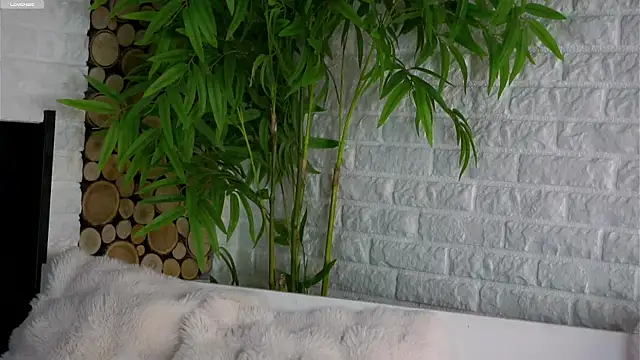 LowOncoming online show from March 25, 1:55 am