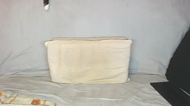 qustci-couple online show from October 21, 9:43 am