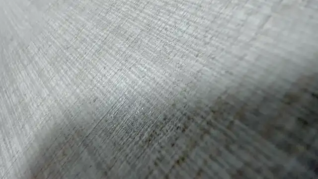 AishaRouhi online show from March 31, 4:13 am