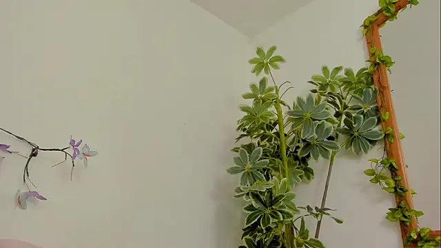 BonnieCute  online show from March 17, 11:41 pm