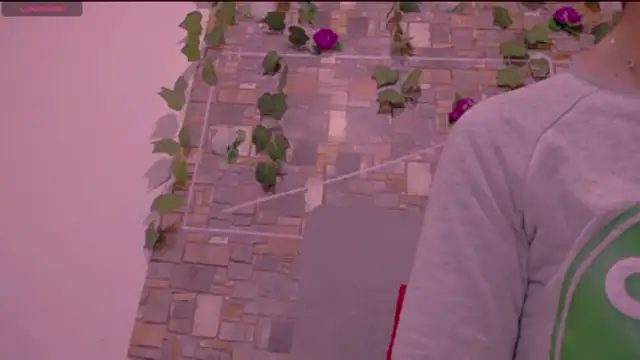 CrazyRousex online show from January 14, 2:23 pm