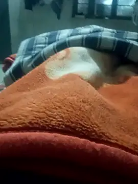 Snapshot of rjxraj chatting on January 11, 3:17 pm rjxraj online show from January 11, 3:17 pm