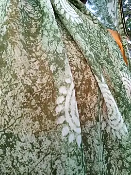 Cute Suhani online show from November 11, 1:27 am