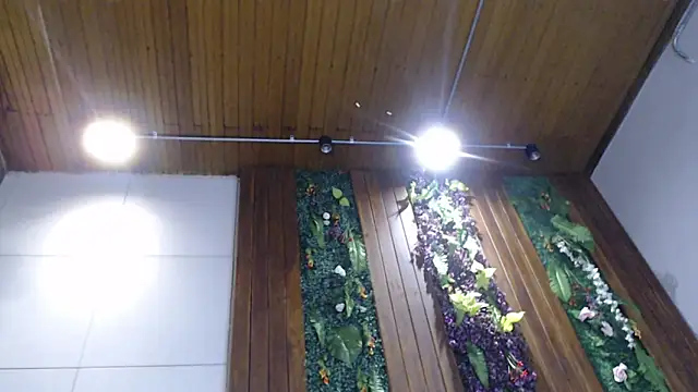 DrakeNeumann online show from February 5, 11:06 pm