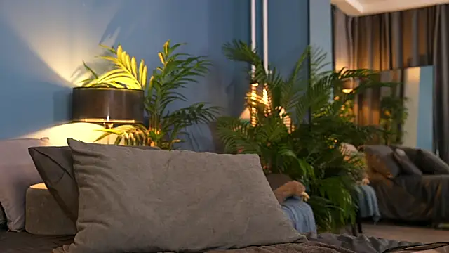  keeti  online show from November 1, 11:29 pm