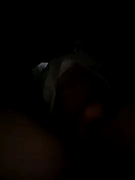 toysonly online show from December 2, 11:34 pm