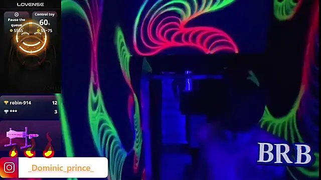 DominicPrince online show from January 13, 4:12 pm