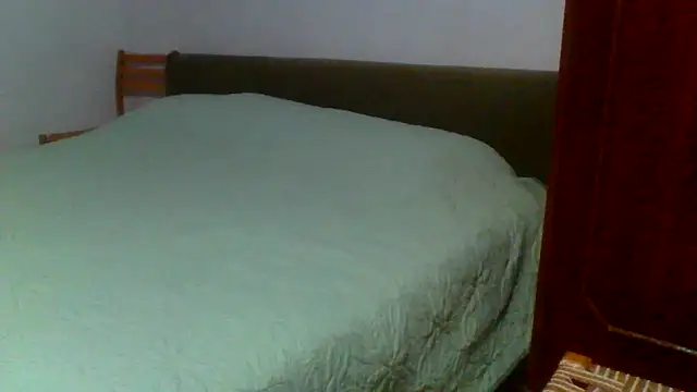 petan33 online show from September 11, 6:41 pm