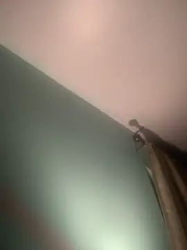 longhairjim online show from February 9, 7:49 am