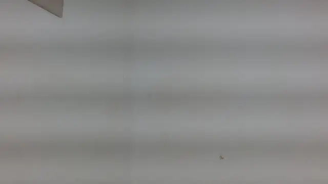 yulissa18 online show from January 29, 3:22 am