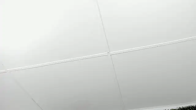 valentina 0  online show from December 4, 3:49 am