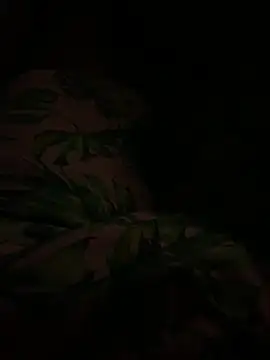 Snapshot of smithrosinha chatting on February 11, 4:44 am smithrosinha online show from February 11, 4:44 am