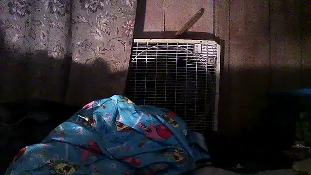 Snapshot of luke_thighwalker2469 chatting on December 2, 2:50 am luke thighwalker2469 online show from December 2, 2:50 am