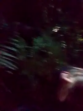 Snapshot of mis312 chatting on March 5, 2:36 am mis312 online show from March 5, 2:36 am