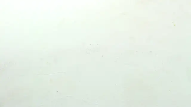 Snapshot of sinay024 chatting on February 27, 8:03 am sinay024 online show from February 27, 8:03 am