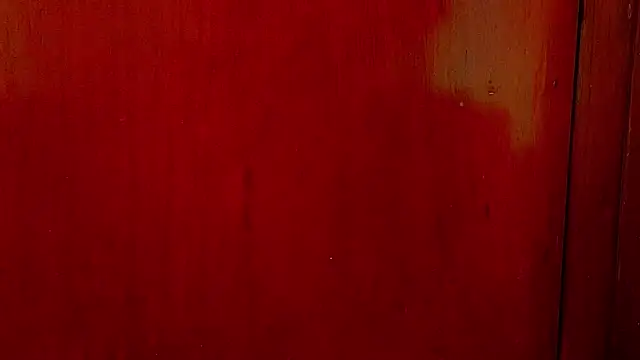 Snapshot of anisha_x chatting on October 1, 7:20 pm anisha x online show from October 1, 7:20 pm