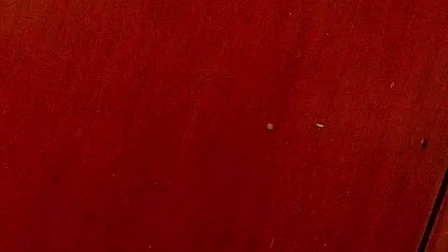 Snapshot of anisha_x chatting on October 4, 7:12 pm anisha x online show from October 4, 7:12 pm