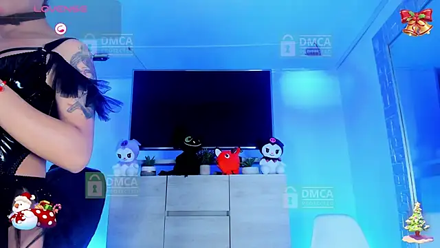 Palmer-Foster online show from November 25, 9:04 pm