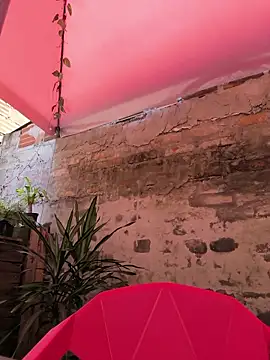 Fun Everywhere online show from April 16, 6:30 pm