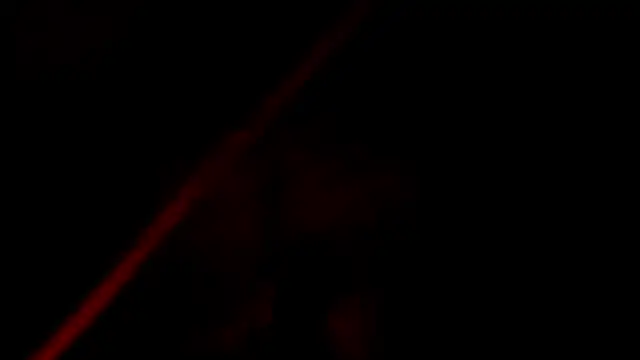 evely coelloo online show from November 4, 4:50 pm